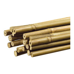 Tutor de bambu decorativo cor natural ø1,1cm x1,20m nortene