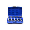 Jogo de 19 Chaves/Bits Torx Geko