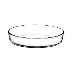 Recipiente ovalado para forno 35x25x7cm