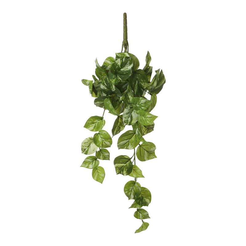 Potos pendente cor verde 14x58x20cm