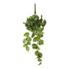Potos pendente cor verde 14x58x20cm