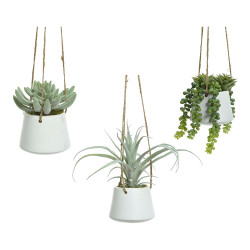 Planta suculenta artificial modelos sortidos 800073
