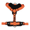 Arnês x-trm cronos neon flash laranja, t-m 20 mm x 46-75 cm