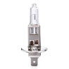 Lâmpada halógena H1 12V 55W com filtro UV (E8) AMIO-01484