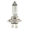 Lâmpada H7 12V 55W PX 26d Filtro UV Amio