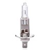 Lâmpada Halógenio H1 12V 55W com Filtro UV AMIO