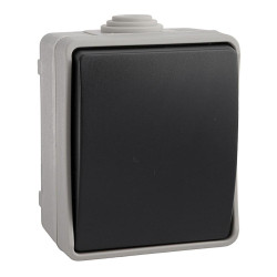 Interruptor estanque ip44 10a 250v~ solera (retractilado)
