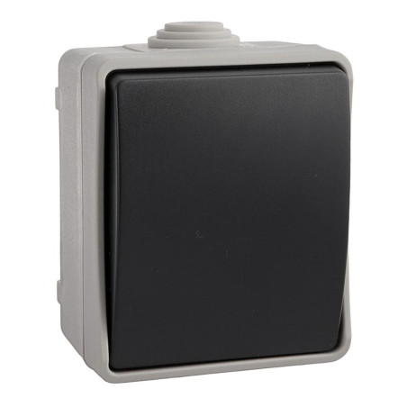 Interruptor estanque ip44 10a 250v~ solera (retractilado)