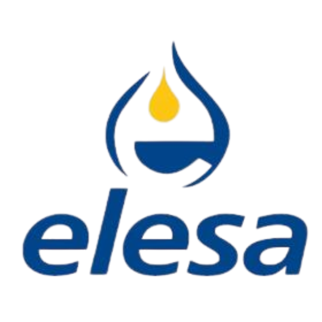 Elesa